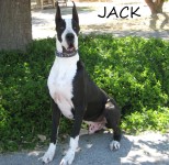 Jack