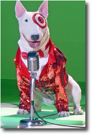 Nikki the Target dog