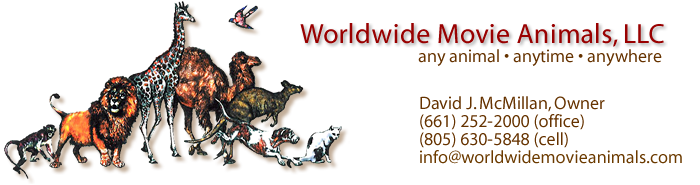 Worldwide Animals LLC